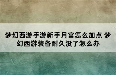 梦幻西游手游新手月宫怎么加点 梦幻西游装备耐久没了怎么办